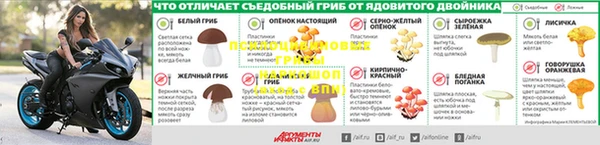 амф Горняк