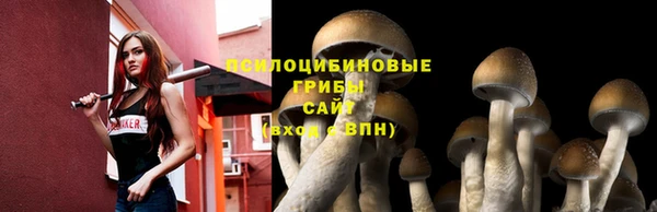 стафф Горно-Алтайск