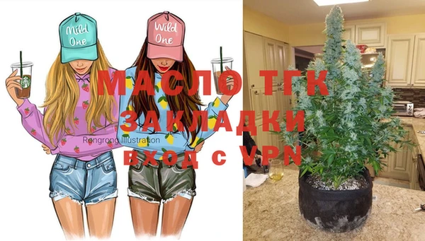 амф Горняк