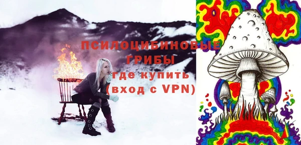 амф Горняк