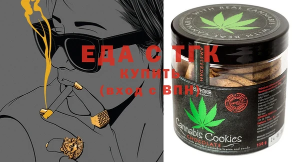 амф Горняк