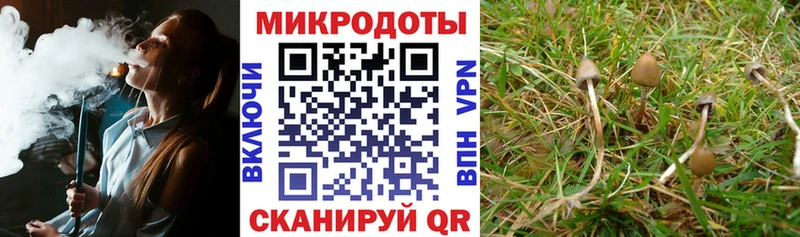 Галлюциногенные грибы Psilocybine cubensis  кракен рабочий сайт  Ачинск 