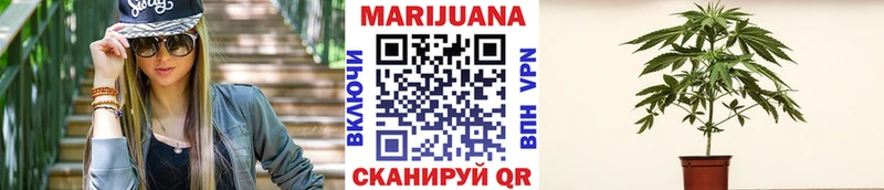 закладки  Ачинск  Шишки марихуана ГИДРОПОН 